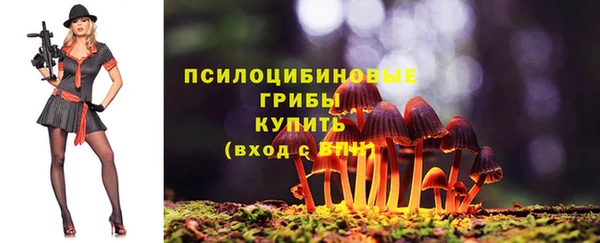 мдпв Кинешма