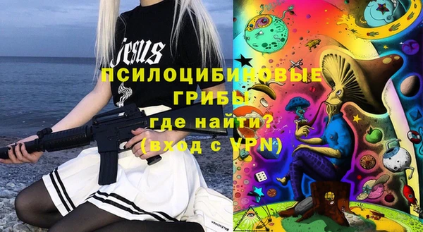 мдпв Кинешма