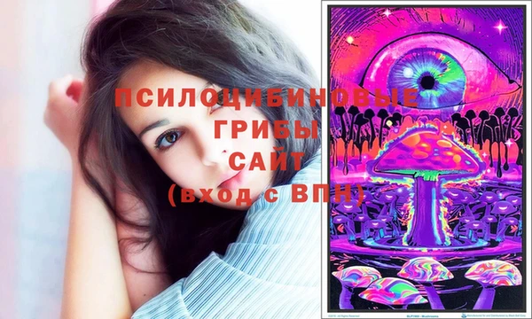 синтетический гашиш Киреевск