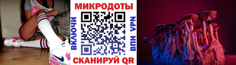 Купить закладки  Армавир  Галлюциногенные грибы прущие грибы 